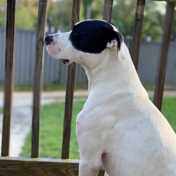 Meet your Posher, Megan - Picture 1 of 1